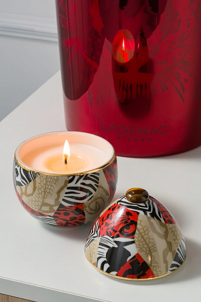 Africa свеча Zebra Camouflage 220г