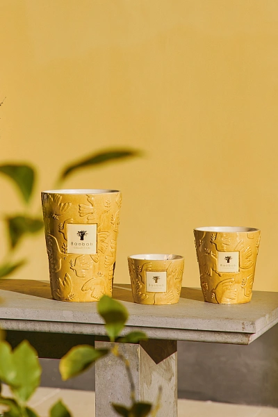Baobab Collection Paz свеча Max 16 Dove 1100г